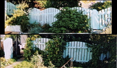 8-70-0800-036-008
